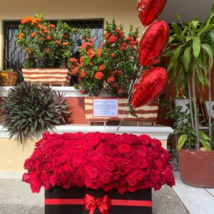 caja de flores deslumbrante amor